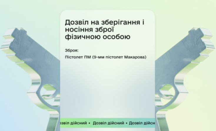 У «Дії» запустили дозвіл на зброю