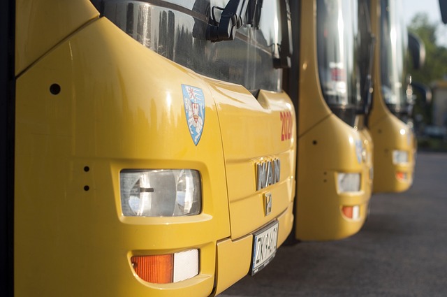Перевезення пасажирів автобусом: уряд готує нові правила
