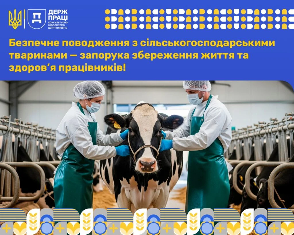 Безпека при роботі з тваринами: про що треба пам’ятати