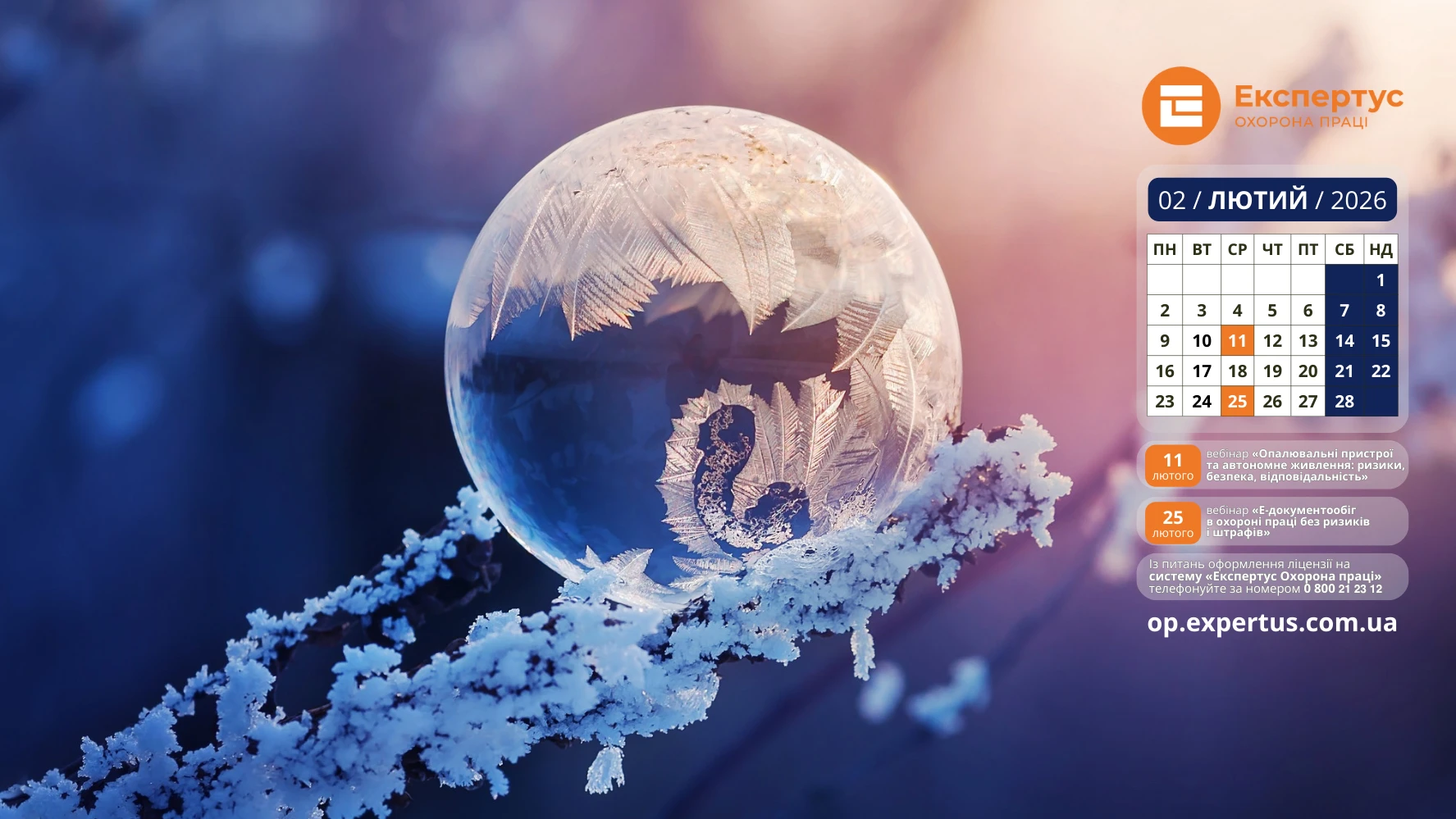 Лютневі заставки на робочий стіл