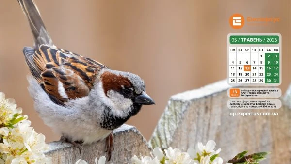 Заставка на робочий стіл травень