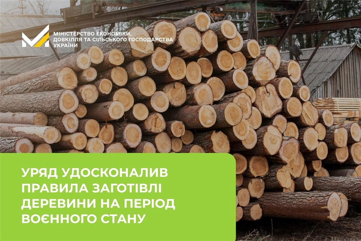 Уряд оновив порядок заготівлі деревини на час воєнного стану