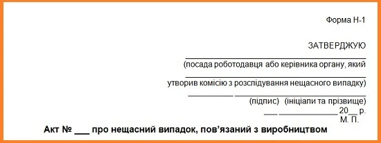 Смертельний нещасний випадок із водієм‑експедитором: практика розслідування акт н1