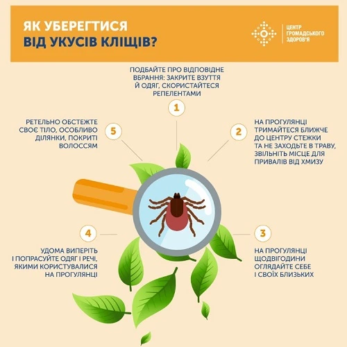 Перша допомога при укусі кліща
