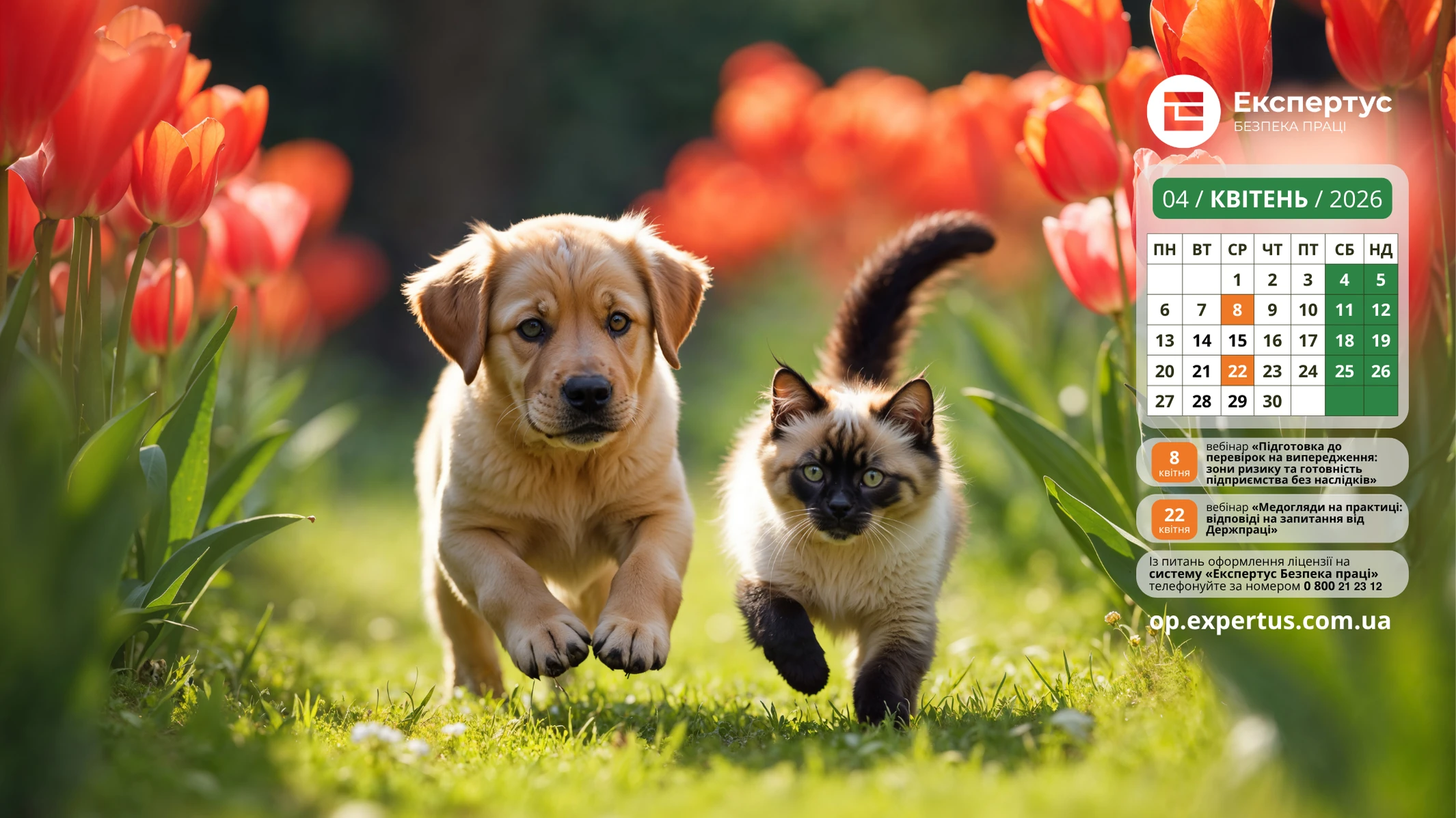 Весняні заставки на робочий стіл