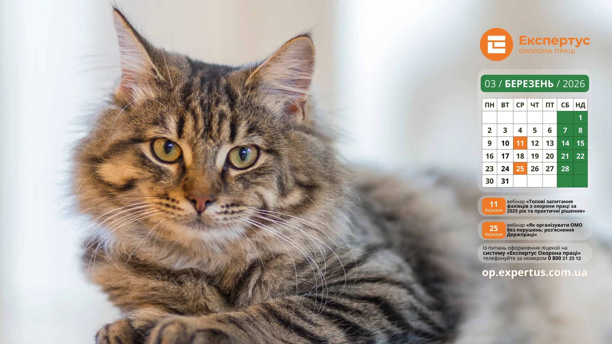 Весняні заставки на робочий стіл