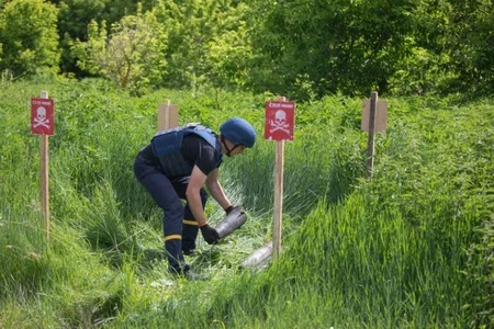 Кабмін: понад чверть територій забруднено мінами
