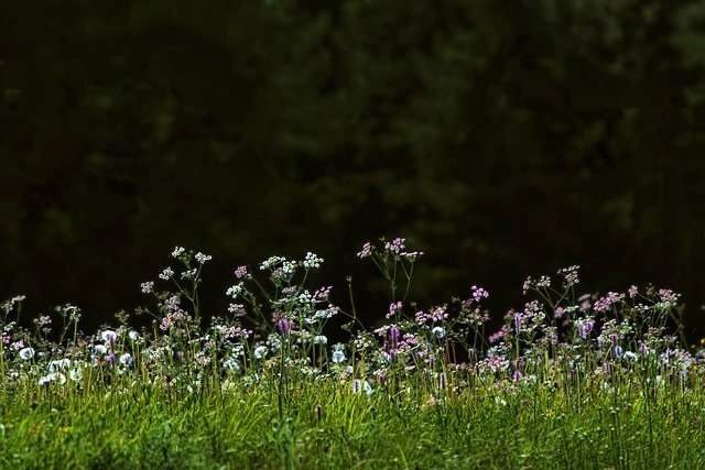 Роботи на вулиці: як боротися з алергією?