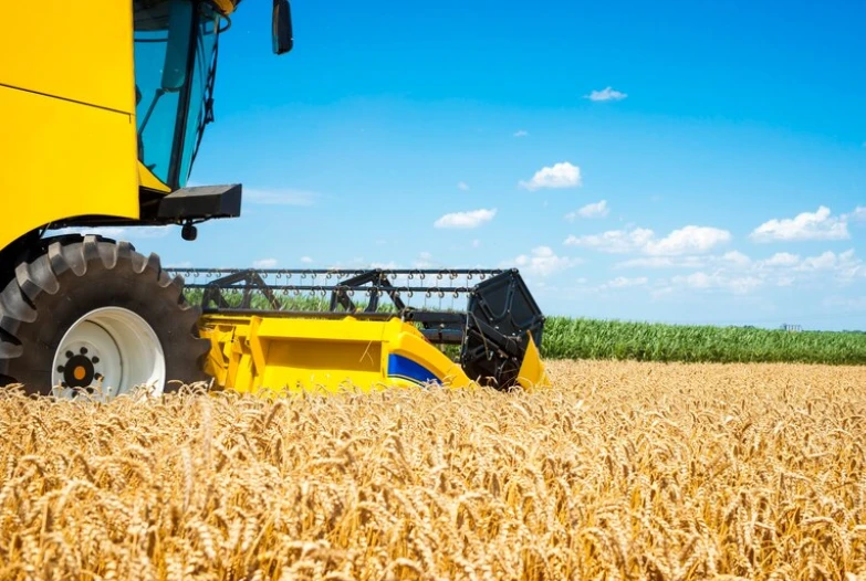 До 25 вересня сільгоспвиробники можуть подати заявки на субсидії